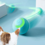 Interactive Cat & Puppies Toy Ball