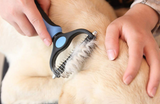 Professional Pet Brush