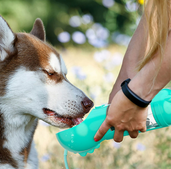 4 in 1 Portable Dog Water Bottle