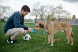 4 in 1 Portable Dog Water Bottle