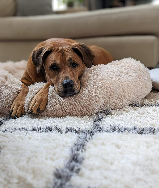 Dog Bed Padded Cushion