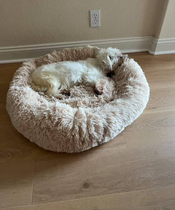 Dog Bed Padded Cushion